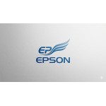 Микросхемы Epson