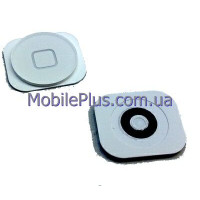 Шлейф кнопки Home iPhone 5 с подложкой и кнопкой, белая